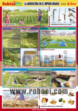La Agricultura En El Imperio Incaico